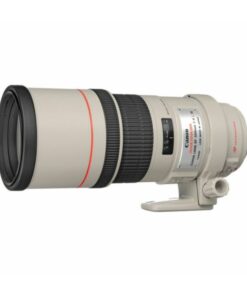 Canon – EF 300mm f/4L IS USM Telephoto Lens